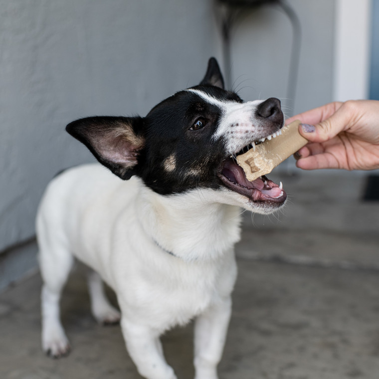 20210314-DSC_0944_1__64895.1645025617.jpg